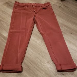 American eagle cropped